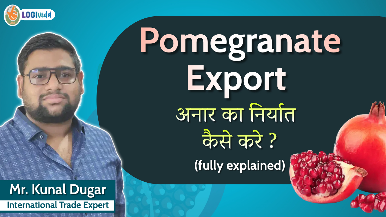 Pomegranate Export | Anar ka niryat kese kare? (fully explained) | Mr. Kunal Dugar